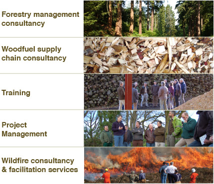 RDI Core Services